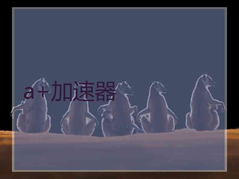 a+加速器