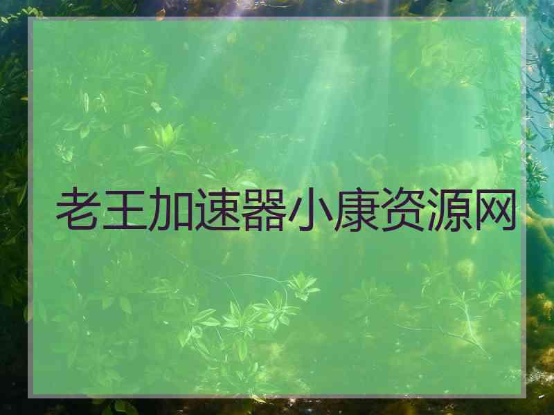 老王加速器小康资源网