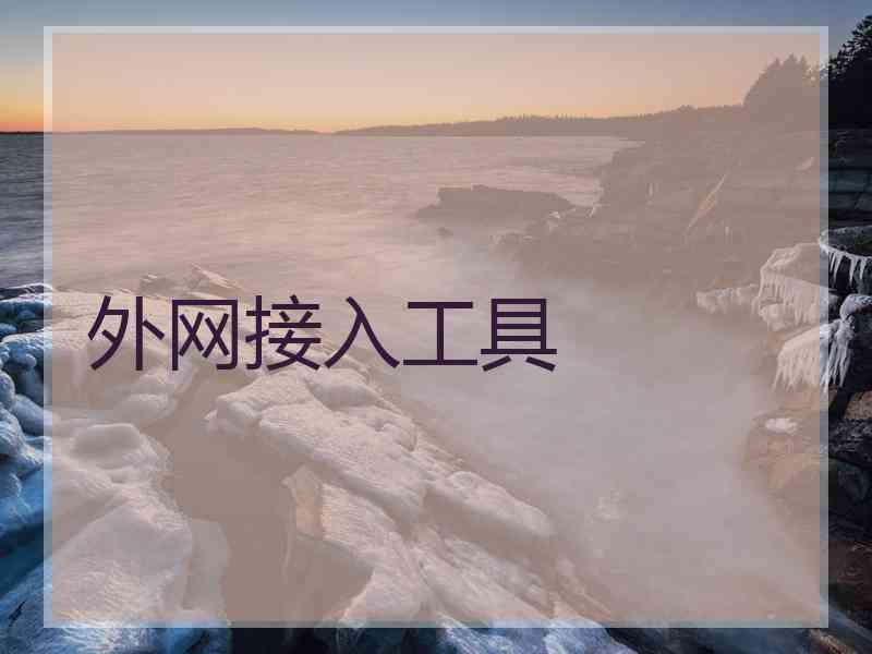 外网接入工具