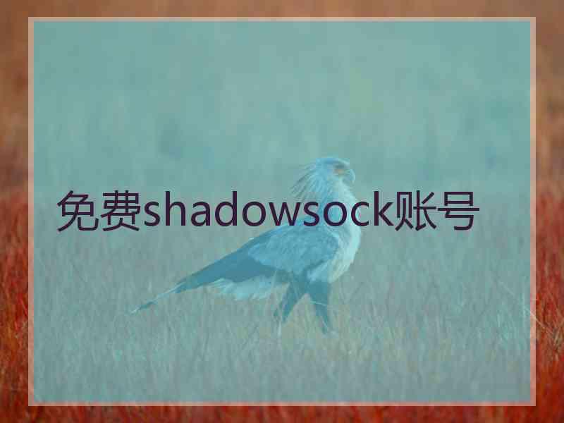 免费shadowsock账号